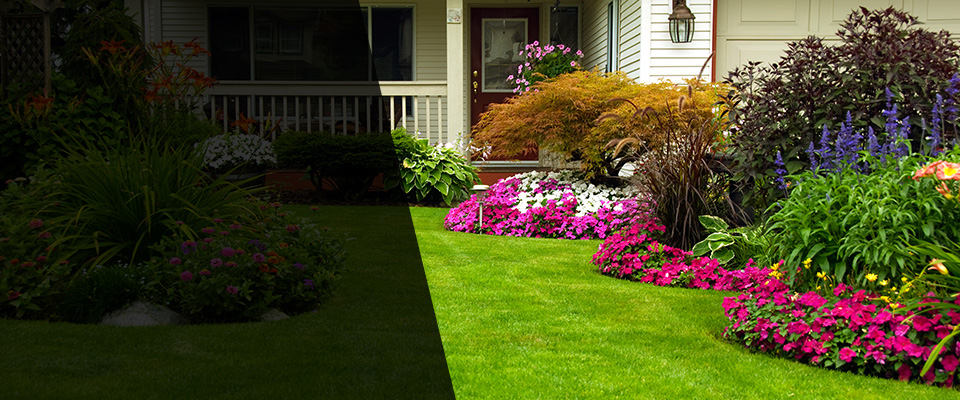 Pennington Gap Landscapers